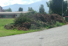 Grünschnittabfuhr in Zeltweg